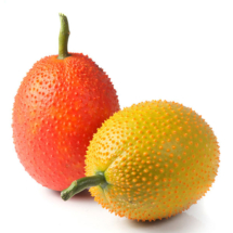 fruit05